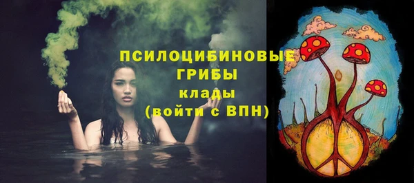 соль курить ск Богданович