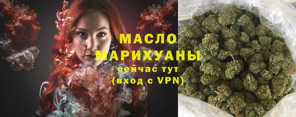 mix Богородицк