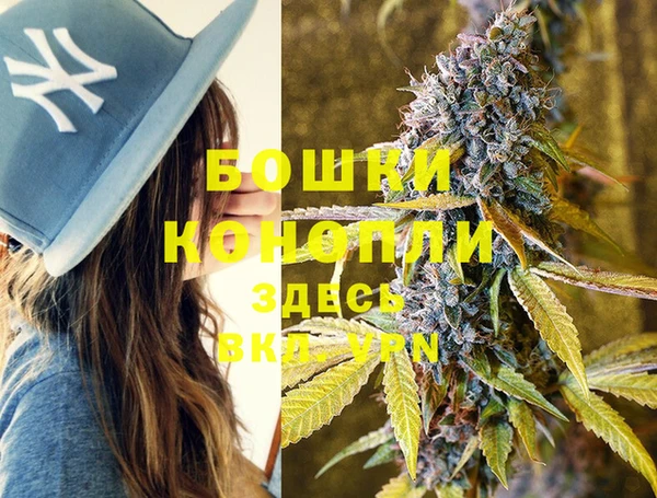 mix Богородицк